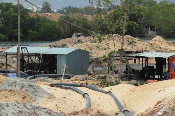 Bình Định: Doanh nghiệp hút cát, lấp lạch, hủy diệt rừng ngập mặn đầm Thị Nại