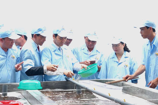 Quảng Ninh: Thành lập Khu Nông nghiệp ứng dụng công nghệ cao về thủy sản