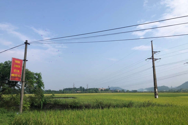 Thái Nguyên: Kiểm soát ô nhiễm môi trường trong sản xuất nông nghiệp