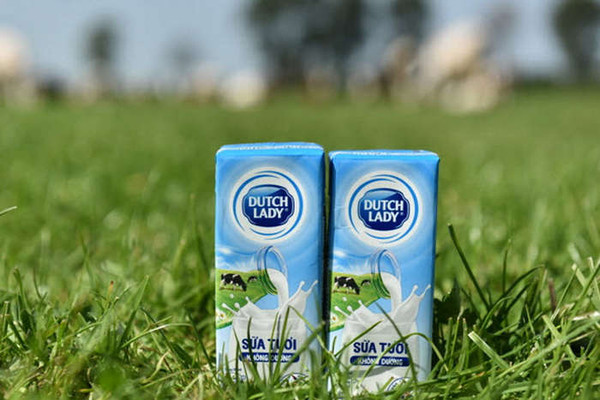 Độ an toàn của sữa tươi Cô Gái Hà Lan tăng từ 10 lên 11 lần so với chuẩn Việt Nam