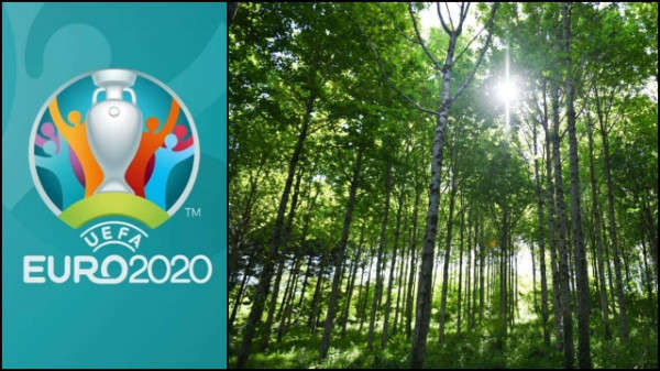 UEFA sẽ trồng 600.000 cây xanh để bù đắp lượng khí thải cácbon từ Euro 2020