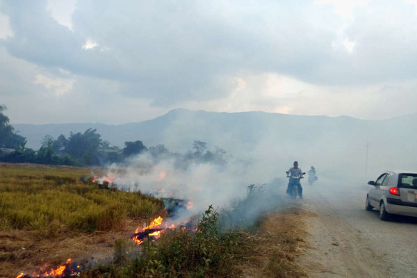 Điện Biên: Nguy cơ ô nhiễm môi trường từ đốt rơm, rạ