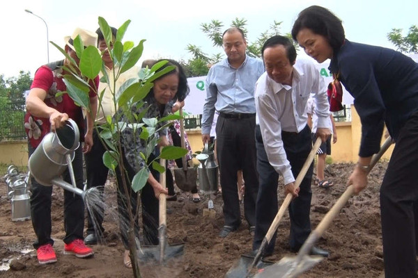 Quỹ 1 triệu cây xanh cho Việt Nam sắp về đích