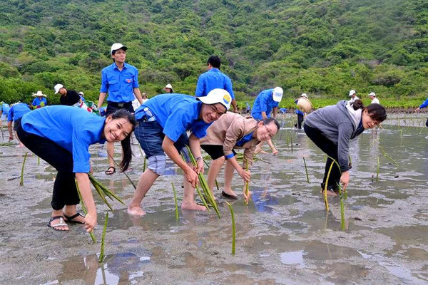 Tỉnh đoàn Quảng Ngãi có kế hoạch trồng 4.040 cây phân tán trong năm 2019