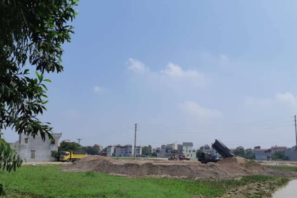 Vụ đấu giá 205 lô đất ở Bắc Ninh: Giám đốc Công ty 368 nói gì?
