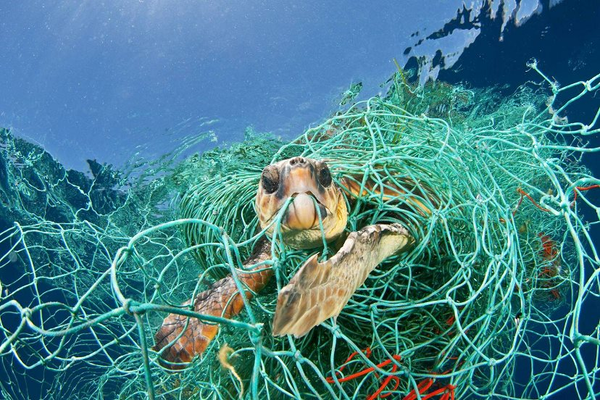 Ngành thủy sản đối diện với cảnh báo “rác sẽ nhiều hơn cá”