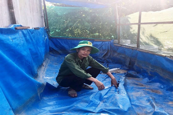 Quảng Bình:  Lươn dự án thoát nghèo vừa nuôi đã chết khiến người dân lao đao