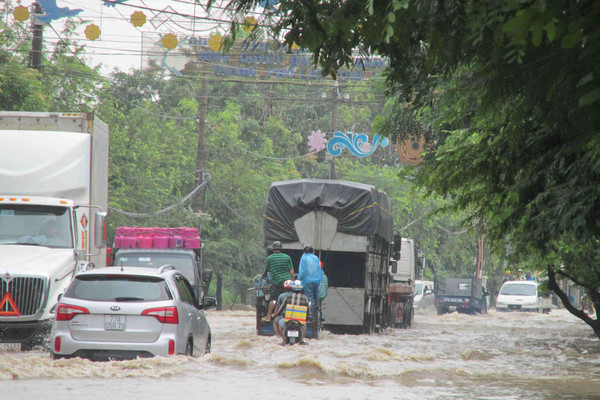 Bình Định, Phú Yên ứng phó với cơn bão số 5