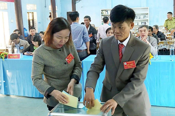 Thừa Thiên - Huế: Thành lập HTX lâm nghiệp bền vững Hương Vân