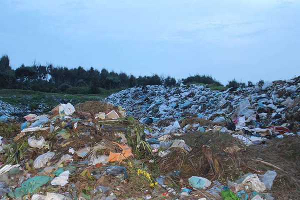 Cho thuê đất xây dựng Nhà máy xử lý rác sinh hoạt tại huyện đảo Phú Quý