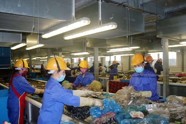 Hiện đại hóa công nghệ xử lý chất thải rắn: Mở cơ chế cho điện rác phát triển