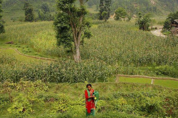 Hơn 39 triệu USD được phê duyệt cho quỹ hỗ trợ chống BĐKH ở Nepal của LHQ