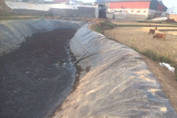 Mai Sơn – Sơn La: Tạm dừng cấp nước do ô nhiễm