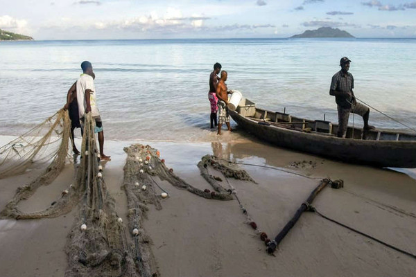 Đánh bắt cá bền vững thịnh hành ở các nước phát triển