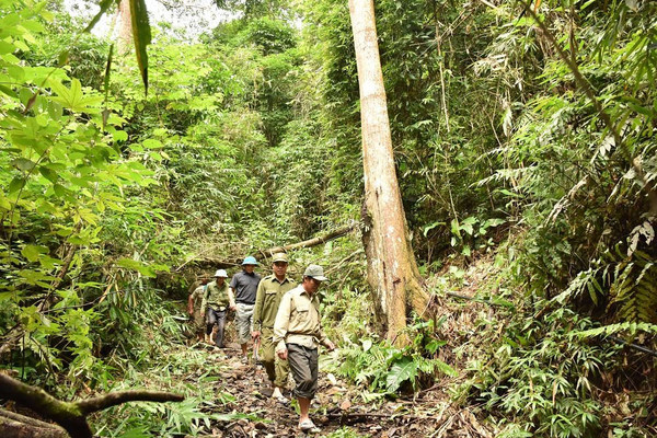 Hiệu quả sau 10 năm thực hiện Chi trả dịch vụ môi trường rừng tại Sơn La