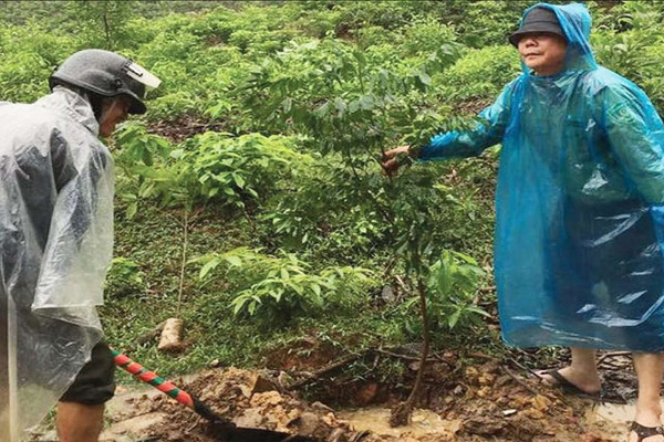 Thừa Thiên Huế: Cộng đồng thực hiện tốt công tác bảo vệ tài nguyên rừng