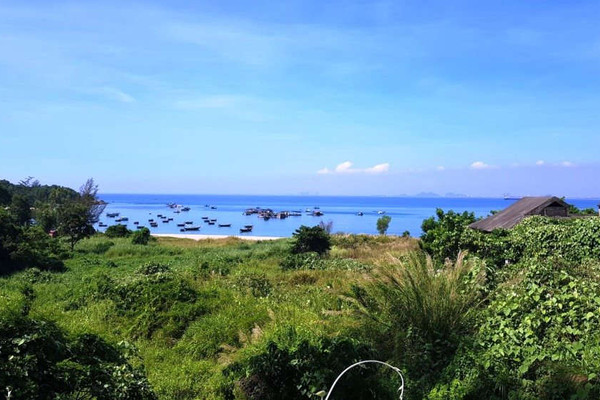 “Loạn” cấp phép dự án trên bán đảo Sơn Trà: Xâm phạm “rừng cấm”