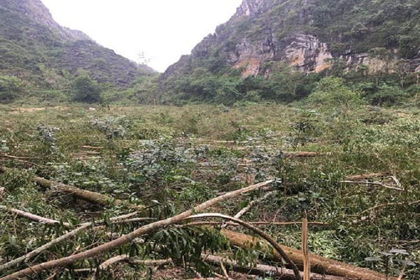 Thanh Hóa: Xử phạt hơn 400 vụ vi phạm trong lĩnh vực bảo vệ rừng và quản lý lâm sản