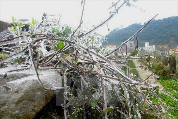 Thời tiết 11/12: Bắc Bộ trời rét, vùng núi cao có nơi dưới 3 độ C
