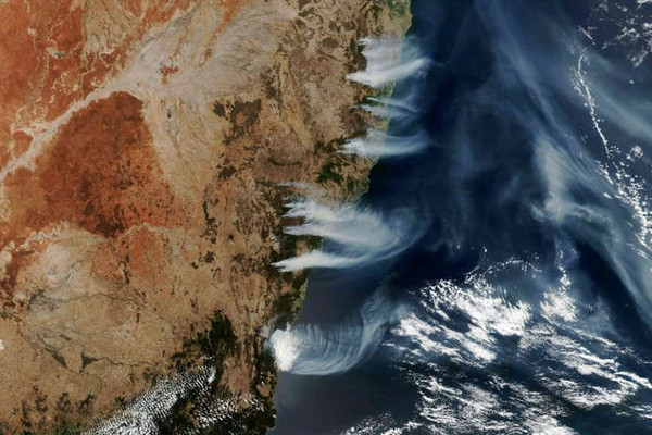 Australia: Các vụ cháy rừng thải ra 250 triệu tấn CO2