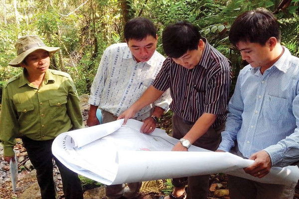 Thừa Thiên Huế: Tăng cường quản lý, bảo vệ rừng phòng hộ đầu nguồn