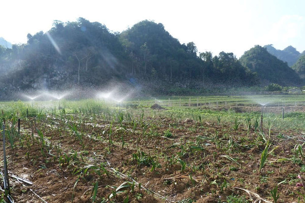 Sơn La triển khai các giải pháp phòng chống hạn hán, thiếu nước