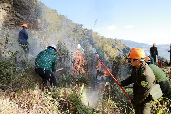Lào Cai: Triển khai phương án phòng, chống cháy rừng