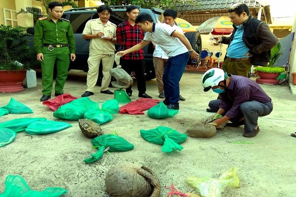 Tăng cường ngăn chặn việc tiêu thụ các loài động vật hoang dã