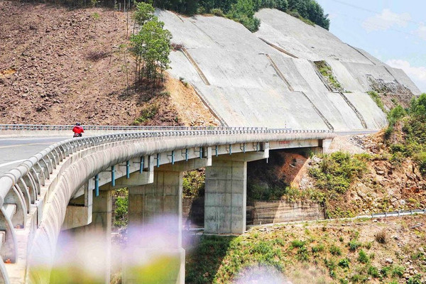 Hàng rào bảo vệ cao tốc La Sơn - Túy Loan bị tháo dỡ để khai thác gỗ