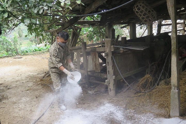 Thái Nguyên: Tập trung dập dịch lở mồm long móng trên đàn gia súc