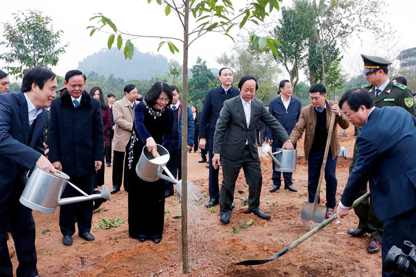 Phó Chủ tịch nước phát động “Tết trồng cây đời đời nhớ ơn Bác Hồ” Xuân Canh Tý