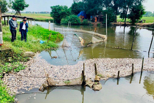 Vụ cá chết trắng sông Chanh (Ninh Bình): Tăng cường bảo vệ môi trường tại KCN Khánh Phú