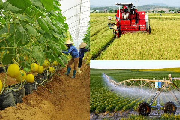 Nhiều rào cản phát triển thị trường đất nông nghiệp