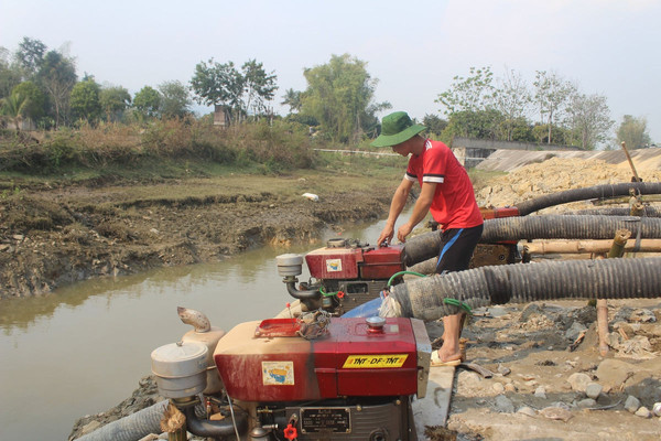 Điện Biên: Hàng trăm héc-ta lúa Đông Xuân bị thiệt hại do hạn hán