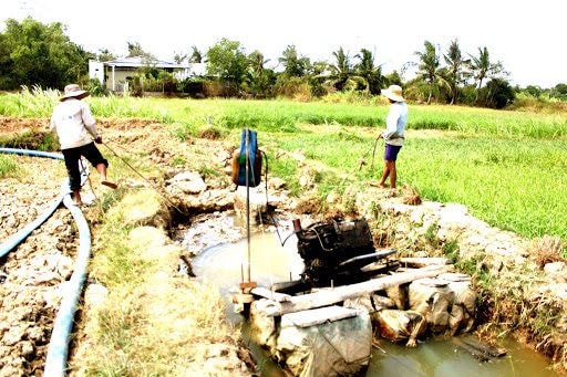 Đồng bằng sông Cửu Long tiếp tục đối mặt với hạn hán, xâm nhập mặn