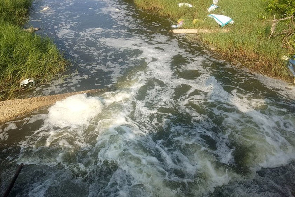 Đã có kết quả kiểm tra vụ: “Hàng loạt hồ nuôi tôm chưa đảm bảo hệ thống xử lý nước thải tại Quảng Bình”