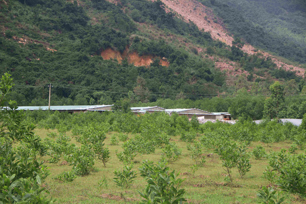 Bình Định: Kết quả kiểm tra tình trạng ô nhiễm tại Khu chăn nuôi Nhơn Tân