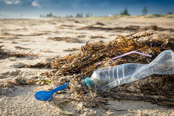 Rác thải nhựa đại dương đang gây ô nhiễm các bãi biển ở Australia