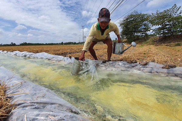 INSEE Việt Nam tài trợ 500 triệu đồng và 500 tấn xi măng cho dự án “Nước cho vùng hạn mặn”