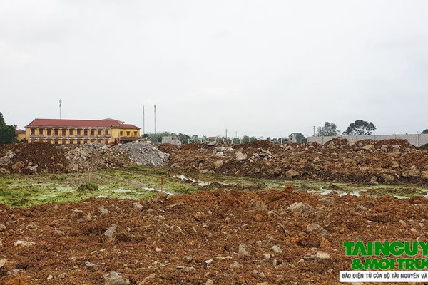 Yên Định (Thanh Hóa): Công ty Thanh Sơn san lấp hàng nghìn mét vuông đất nông nghiệp trái phép? 