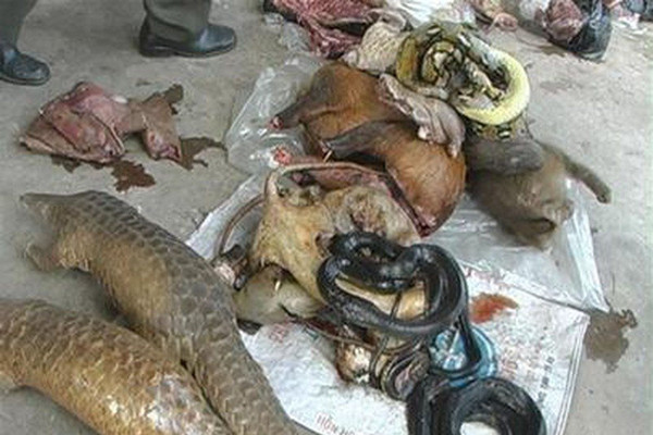 Tổ chức HSI kêu gọi Việt Nam cần lập tức đóng cửa các chợ buôn bán động vật hoang dã