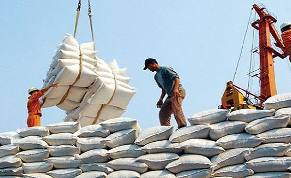 Thanh tra việc chấp hành quy định về xuất khẩu gạo