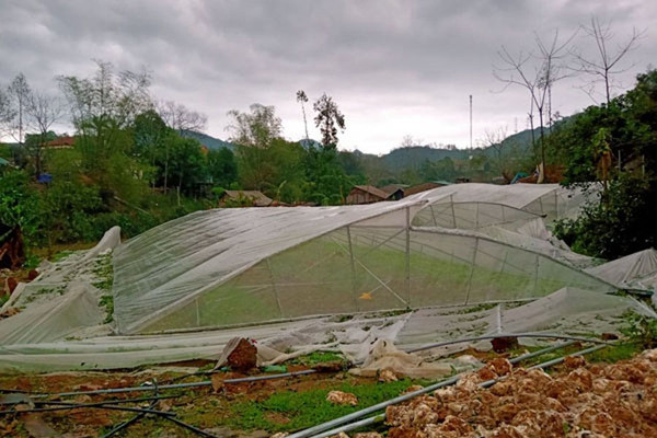 Lào Cai : Mưa đá dông lốc gây thiệt hại về nhà và tài sản của người dân