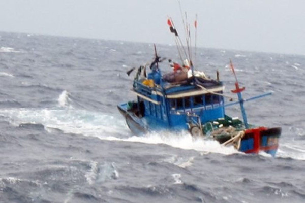 Kịp thời cứu 3 ngư dân Quảng Nam gặp nạn ở vùng biển Lý Sơn