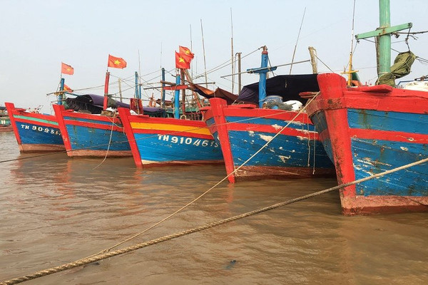 Thanh Hóa: 28 vụ vi phạm về khai thác, bảo vệ nguồn lợi thủy sản bị xử phạt 180 triệu đồng