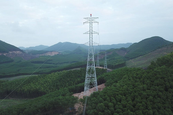 Nghệ An: Chuyển hơn 54 ha rừng thực hiện đường dây điện 500KV