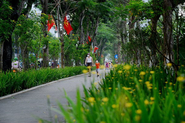 Xanh mát con đường đi bộ mới xuất hiện ở Hà Nội