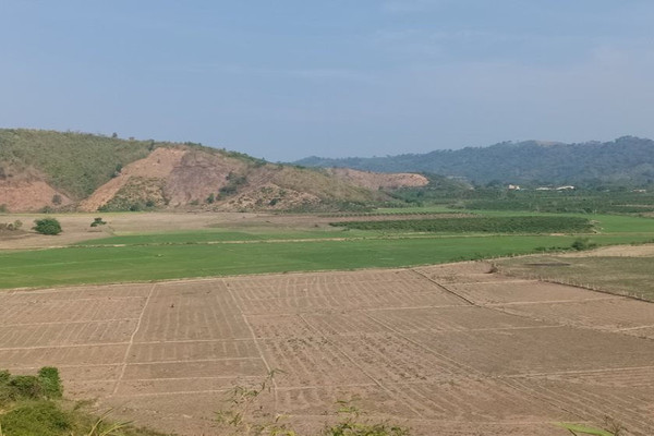 Đắk Nông: Hơn 5000ha cây trồng bị thiệt hại do hạn hán