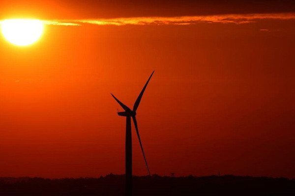 Các công ty năng lượng gió kêu gọi các nước duy trì năng lượng carbon thấp trong đại dịch