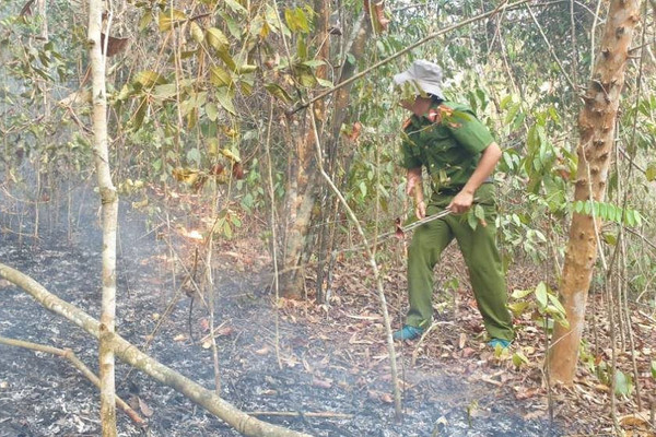 Quảng Nam: Kịp thời dập tắt cháy rừng phòng hộ ở huyện Đông Giang
